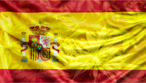The Spanish Agency of Medicines Approves The Cultivation of 3 Hectares of Plants