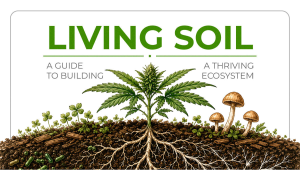Living Soil For Autos