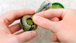 How to Pack a Plants Bowl: Dos and Donts