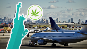 Plants Will No Longer Be Seized At New York Airport