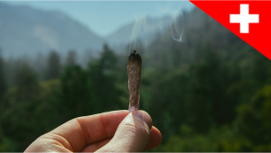 Switzerland Will Allow Recreational Plants Sales as a Pilot Program