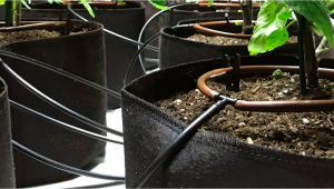 Automatic Drip Irrigation Setup for Indoor Plants Grow
