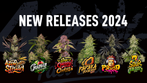 Presenting our highly awaited 2024 auto releases!