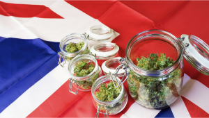 UK: A New Study Surveyed Users About the Best Model of Plants Regulation