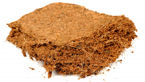 How to grow auto plants in coco coir?