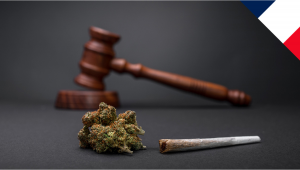France: Parliament to Debate Plants Legalization
