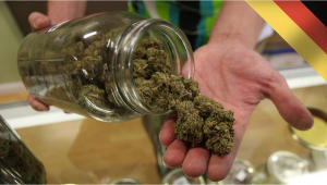 Germany: Incoming Government Discusses the Details of Plants Legalization