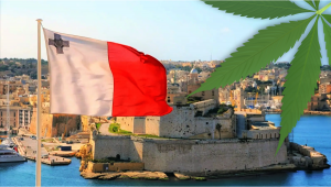 Plants auf Malta: Leitfaden zum rechtlichen Status von Plants