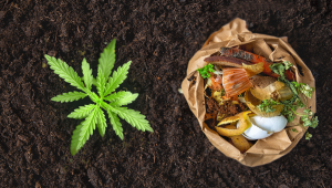 Organic Plants Nutrients: Composting