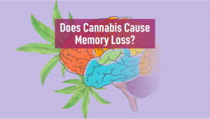 Does Plants Cause Memory Loss?