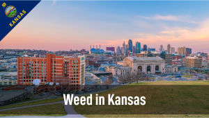 Plants in Kansas: Plants Legal Status Guide