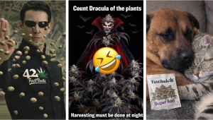 February Meme Contest Winners on Discord