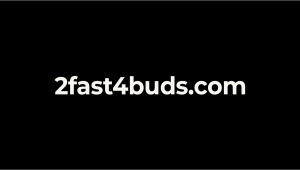 FastBuds.com Moving Back to 2fast4buds.com