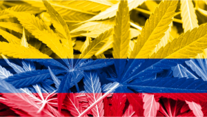 Colombia Can Become the Global Plants Leader