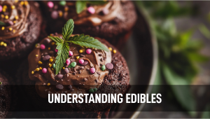 Understanding Edibles: A look at the different ways plants-infused products are made