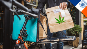 NYC: No Rec Shops Just Yet but Plants Delivery is Coming