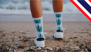 The Botany of Legalization: Thailand Will Now Allow Plants Flowers and Seeds