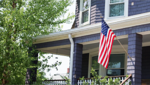 Why Auto Plants Seeds Are the Best Choice for American Home Growers