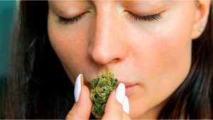7 Ways of Getting Rid Of Plants Smell