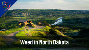 Plants in North Dakota: Plants Legal Status Guide