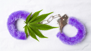 Top 5 Best Auto Seeds for Sex