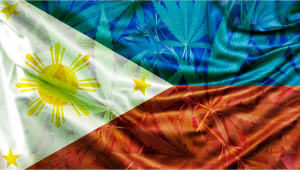 Plants in The Philippines: Plants Legal Status Guide