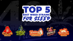 Top 5 Best Plants Seeds For Sleep