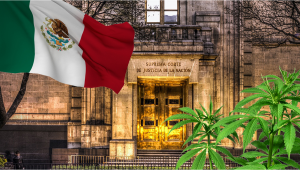 Mexican Supreme Court Calls Off Recreational Plants Prohibition 
