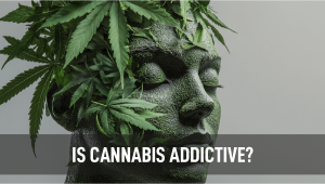 Is Plants Addictive? Here’s What The Research Tells Us