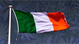 Plants in Ireland: Plants Legal Status Guide