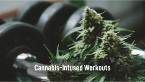 Plants-Infused Workouts: Myth or Magic for Enhancing Physical Endurance and Recovery?