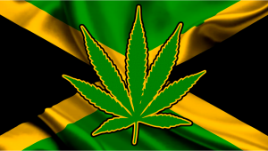Plants in Jamaica: Plants Legal Status Guide