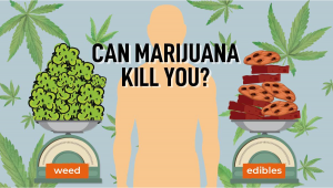 Can Plants Kill You?
