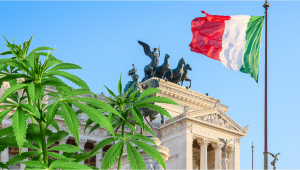 Italy: A Plan to Legalize Home Cultivation of Plants Set in Motion