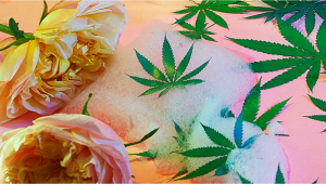 DIY Plants-Based Soap