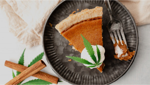Plants Cake Recipe Ideas: How To Make Plants Cakes