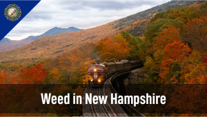 Plants in New Hampshire: Plants Legal Status Guide