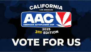Vote For Us in The American Auto Cup 2025!