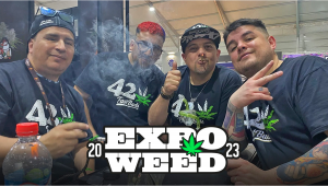 Expoplants Chile: Much More Than an Expo, A Plants Festival