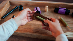 Thai Sticks - The OG Cannacigars. Can You Still Find Them? And Everything You Need To Know Right Now About Plants Cigars