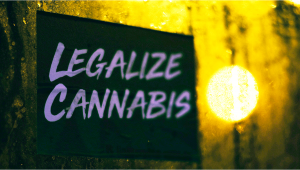 More Liberal Plants Laws Lead to Fewer Spice/K2 Overdoses