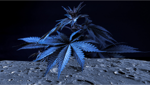 A Plants CEO Envisions a Lab on the Moon