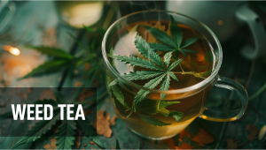 What is Plants Tea?