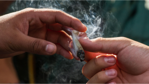 Plants Smokers Don’t Really Fit ‘Stoner’ Stereotypes