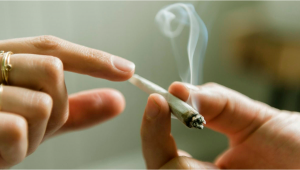 5 Tips To Keep In Mind Before Smoking Plants For The First Time