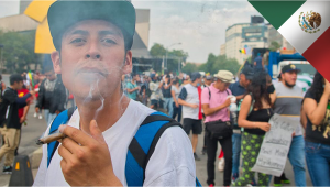 Mexico: Plants May be Legalized This Legislative Session