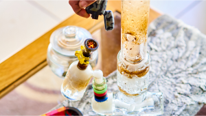 What Is Plants Reclaim And Why You Shouldnt Smoke It