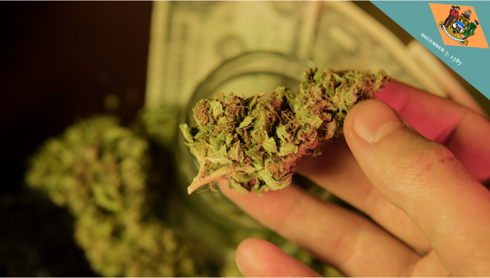 Delaware, USA, könnte bald Plants zum Freizeitgebrauch legalisieren