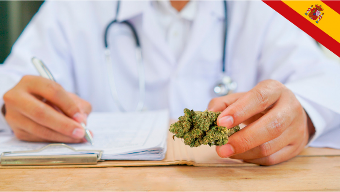 Spain to Legalize Medical Plants Sales This Year