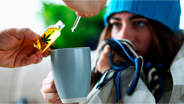 Can Plants Help Fight The Common Cold and Flu?